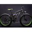 Richbit Updated Black Green Electric Bike TP12 36V 350W Lithium Battery Electric Mountain Bicycle with Shimano 21 Speeds 4.0 inch Fat Tire Suspension Fork